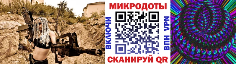 Галлюциногенные грибы Psilocybe  Коряжма 